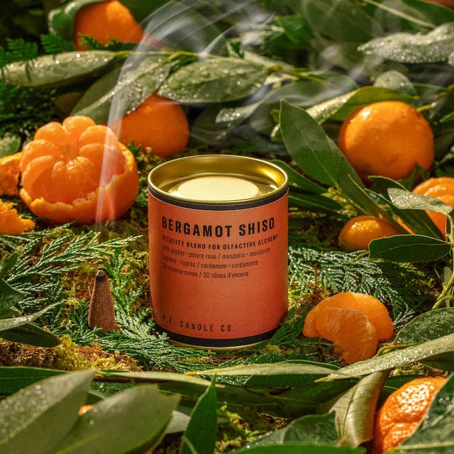 Candles + Home Fragrance | Modern Alchemy / Public Vinyl Candles + Home Fragrance | Modern Alchemy / Public Vinyl